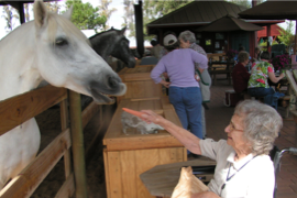 A day at the ranch.JPG